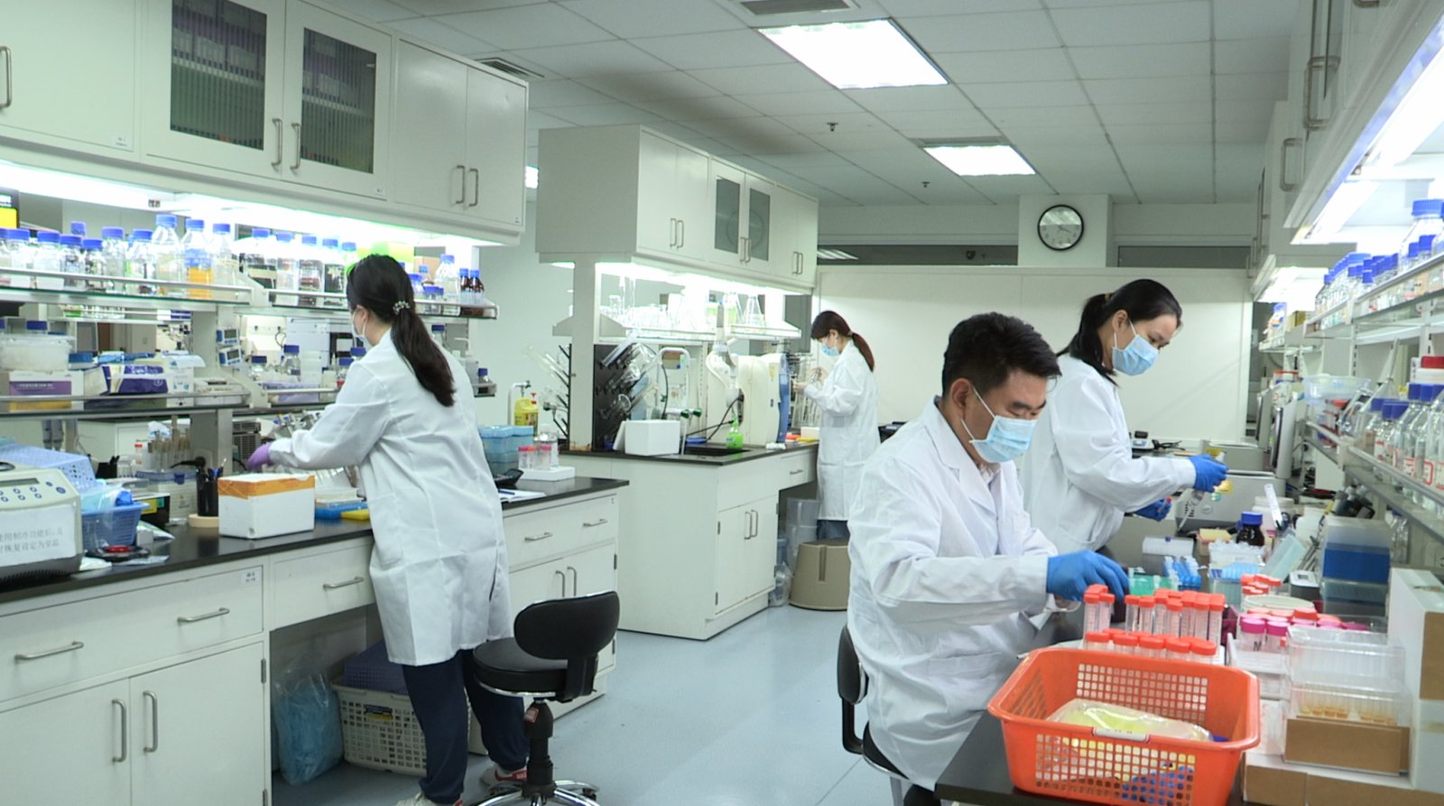 从二氧化碳到淀粉 中国科学家实现人工合成的原创性突破